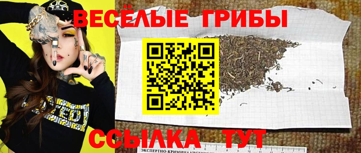 Галлюциногенные грибы мицелий Фурманов